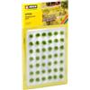 Noch 7032 Erba Tufts Verde G,0,H0,TT,N,Z Scala