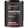 Zenement Creatina Monoidrato, 500g | Micronizzata, Non aromatizzata | Prestazioni sportive, resistenza, forza, energia | Vegano, Senza Additivi, Senza Glutine, GMP | Zenement
