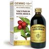 Dr Giorgini Integratore Alimentare, Mirtillo Rosso Gemmoderivato Concentrato Liquido Analcoolico - 200 ml