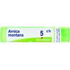 Boiron Arnica Montana 5CH Rimedio Omeopatico, 80 Globuli