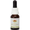 Australian Bush Flowers Australian Bush Flower Essences Fringed Violet, 15ml