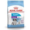 Royal Canin C-08504 S.N. Cucciolo Gigante - 15 kg