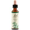 SCHWABE PHARMA ITALIA Srl HOLLY BACH ORIG 20ML