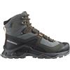 SALOMON QUEST ELEMENT GTX Scarpa Trekking Uomo