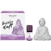 Baldini Set con 10 ml di fragranza diffusore di aromi e profumare o vaso, 1er Pack