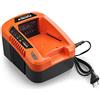 Fuxtec Caricabatterie rapido EC20 40V (2A) - Tecnologia agli ioni di Litio - per la Batteria da 40V 2/4/6Ah Batteria per Tutti i dispositivi a 40V - (Batteria Non Inclusa!)