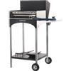 Famur BK 6 Eco - Barbecue a legna, carbone e gas