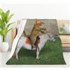 JUZGTSIT Coperta Divertente con Il Gatto Cowboy su un Cavallo - Flanella Morbida e Calda per Amanti dei Gatti - 100 x 130 cm - Regalo per Ragazze, Donne e Uomini