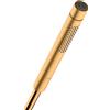 AXOR Starck doccetta, 2 tipi di getto, 28532250, Starck oro spazzolato [Rubinetteria Bagno > Doccette / Supporti]