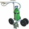 Carrello segnacampo con pompa manuale a vernice ecologica