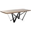 Home ESPRIT Tavolo da Pranzo Home ESPRIT Metallo Legno di acacia 220 x 100 x 76 cm