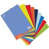 BLASETTI MAXI QUADERNO ONE COLOR LINEA BLU 18+1 FF 100 GR RIGATURA 0Q 7045