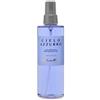 Gandini Cielo Azzurro Acqua Profumata per il Corpo 250ml