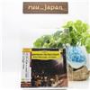 CD Nuovo Lorin Maazel WPh Concerto di Capodanno 1980-1983 TOWER RECORDS JAPAN