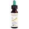 ALCHIMIA BENOIT Srl FIORI DI BACH BENOIT STAR OF BETHLEHEM 10 ML