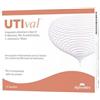 AGAVE UTIVAL 14 BUSTINE