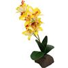 Lucky Reptile Scape it Easy - Orchidea Grande Gialla, ca. 35 cm, pianta Decorativa per terrari