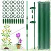 FENGJIAHUI (100PCS) Supporto Orchidea, Tutori per Piante, 20 Pezzi Supporto per Piante Stabilizzare, Viene Fornito con 30 Moschettoni con 10 Tubi di Srolunga, Sostegno per Piante, Tutori per Piante