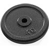 Dione 1 disco da 1,25 kg, 30 mm, pesi, ghisa