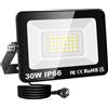 RIGIDON Faretto LED da Esterno con Spina, 1x 30W 3000LM Fari di Sicurezza, Proiettore Led, Faretti lampada Per Giardino Cortile Garage Parete Officina Patio, IP66 Impermeabile 6000K Bianco Freddo