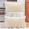 Madizz 2 Pezzi Federe in Velluto Copricuscini Morbido Decorativo Fodere per Cuscino Lusso Stile per Divano Camera da Letto Beige Rettangolare 40x60 cm