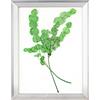 Rahmendesign24 Cornice portafoto a doppio vetro Rio 35 x 45 cm, argento lucido