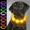 Joytale Collare Luminoso per Cani, Collare di Cane LED Ricaricabile USB, Collare di Sicurezza con 3 Modalità Luminose per Cani di Taglia Piccola Media Grande, Giallo