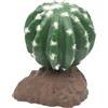 Lucky Reptile Cactus sferico