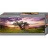 Heye- Puzzle Quercia Alexander Von Humboldt Panorama, 2000 Pezzi, VD-29472
