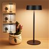 Suright Lampada da Tavolo Solare Senza Fili, Lampada da Comodino Ricaricabile a Energia Solare e USB-C, 3 Modalità Colore, Luminosità Regolabile, IP65 Impermeabile per Uso Interno ed Esterno