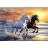 MEIYUDA 5D Diamond Painting Kit Completo Cavalli, Animale Pittura Diamante per Bambini Diamond Painting, Fai-da-te Diamond Painting DIY Strass Ricamo a Punto Croce Decorazione per Casa 40x30cm