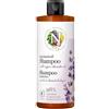 FARMALVARION Srl SHAMPOO ANTIFORFORA NATURALE 200 ML