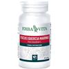 ERBA VITA GROUP SpA Erba Vita Fucus 60 capsule vegetali - Integratore Alimentare di Fucus