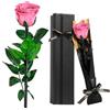 Touloube Rosa Stabilizzata Regalo per la Festa Della Mamma per Donne - Vera Eterna Rosa Fiori Regalo, Idee Regalo Donna Compleanno Anniversario Per Lei, Regali Mamma Fidanzata Moglie Sorella
