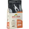 Almo Nature Holistic Salmone Fresco 12kg Crocchette Cani Adulti Medium