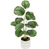Flair Flower Pianta artificiale di vimini in vaso, 50 cm, pianta a foglia artificiale, fiori di seta, piante decorative, piante da interno, fiori artificiali, piante in vaso