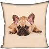 Showudesigns - Federa per cuscino, 45 x 45 cm, motivo: Bulldog francese, quadrata, per soggiorno, camera da letto, divano, letto, panchina, colore: Marrone