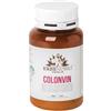 ERBENOBILI Srl COLONVIN 100G