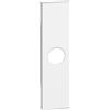Biesse Cover Bianca per Presa TV Compatibile Bticino Living Now | Eleganza Essenziale per il Tuo Segnale