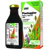 SALUS HAUS Gmbh & Co KG SALUS PIANTAG/SALVIA/FINOCC250