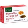 NATURA SERVICE Srl Natura Service, Boswellia Artiglio Diavolo, 60 Capsule