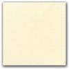 DUNI Tovagliolo duni in cellulosa due veli cm 40 x 40 champagne (125 pezzi) - Cellulosa - Champagne,crema