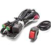 Alchemy Parts Kit fascio faro moto con interruttore on/off completo per moto, triciclo, quad ATV con interruttore impermeabile