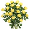 JUSTOYOU 20 PZ Rose Gialle Artificiali, Rose di Seta in Fiore con Stelo, Bouquet di Rose Artificiali Fiore Realistico per Casa Tavolo Ufficio Festa Matrimonio Giardino Composizioni (rosa gialla)