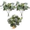 Probuk Confezione da 12 Piante Artificiali di Eucalipto con Bacche - Steli Singoli Realistici per Casa, Ufficio, Matrimonio, Giardino, Interno ed Esterno, Facili da Mantenere