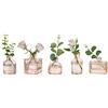 Glasseam Piccoli vasi per fiori: 5 vasi in vetro ambrato color champagne, set per casa, soggiorno, tavoli da pranzo, matrimoni, feste, centrotavola