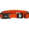 DDOXX Collare Cane Air Mesh, Imbottito, Regolabile | Tanti Colori e Taglie | Per Cani Piccoli Medi e Grandi | Collari per Gatti Cuccioli Taglia Piccola Media Grande | Collarino Gatto | Arancione, S