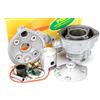 TOP PERFORMANCE 9921760 GRUPPO TERMICO TOP D.49,5mm CORSA 44mm MINARELLI AM6 GHISA PER MAXI KIT COD.9921450