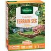 Vilmorin - Prato per terreno secco - Resistente alla siccità - Risparmio in irrigazione - Prima spinta visibile dopo 2 settimane - Per creare un nuovo prato, guardare un prato antico - 3 kg