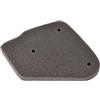 WOOSTAR Filtro Aria Spugna Nucleo Sostituzione per 2 Tempi 50cc 70cc 90cc JOG Minarelli Polaris Jonway Qlink Eton Scooter ATV Quad Dirt Pit Bike